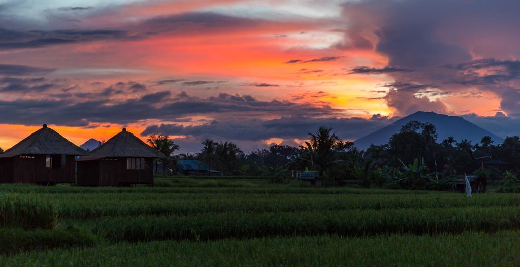 Solo Villas & Retreat Ubud Exterior foto