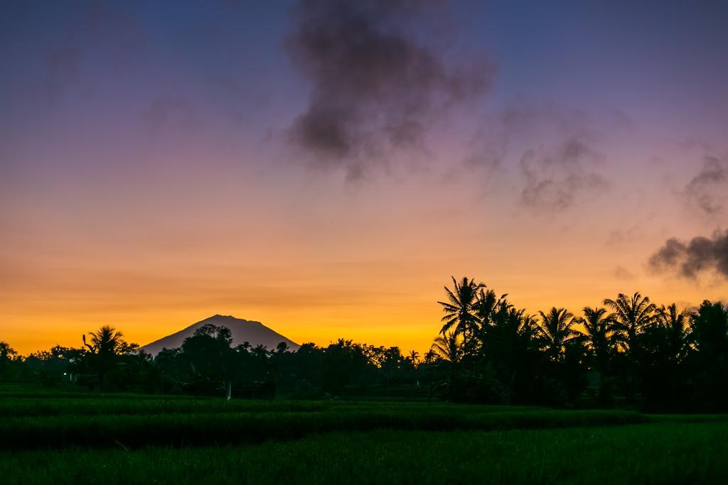 Solo Villas & Retreat Ubud Exterior foto