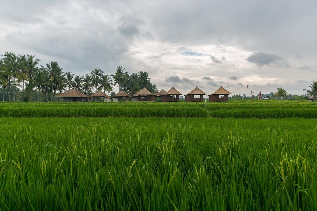 Solo Villas & Retreat Ubud Exterior foto